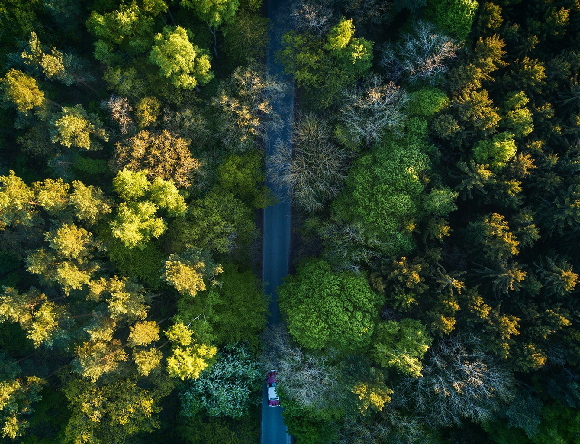 Summertime aerial photography is the best